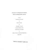 Development of a biologically derived robotic model of the bluegill sunfish caudal fin