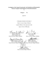 Investigation of the unusual tricarboxylic acid metabolism and mitochondrial electron transport chain functions in Plasmodium falciparum