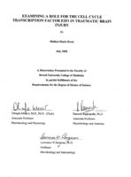Examining a role for the cell cycle transcription factor E2F1 in traumatic brain injury