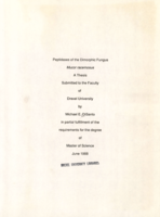 Peptidases of the dimorphic fungus Mucor racemosus
