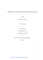 Quantification of cell death due to ultrasound therapy with contrast agents