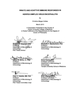 Innate and adaptive immune responses in herpes simplex virus encephalitis