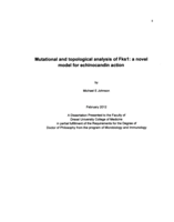 Mutational and topological analysis of Fks1: a novel model for echinocandin action