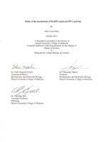 Study of the mechanism of RAD52 catalyzed DNA pairing