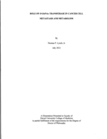 Role of O-GlcNAc transferase in cancer cell metastasis and metabolism