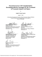 Neural precursor cell transplantation: developing effective strategies for the treatment of traumatic spinal cord injury