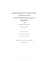 Corrosion phenomena in electrical power generating stations (nuclear and non-nuclear): causes and consequences