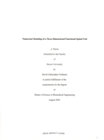 Numerical modeling of a three-dimensional functional spinal unit