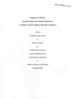 Camp Free to Be Me: assessing camper and counselor experiences at summer camp for children with sickle cell disease
