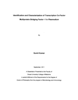 Identification and characterization of transcription co-factor multiprotein bridging factor-1 in Plasmodium