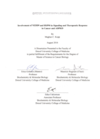 Involvement of NEDD9 and HSP90 in signaling and therapeutic response in cancer and ADPKD