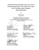 Evaluating the role of dendritic cells in host immune response during Human T Cell Leukemia Virus Type 1 (HTLV-1) infection using a transgenic mouse model system