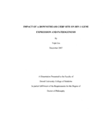 Impact of a downstream C/EBP site on HIV-1 gene expression and pathogenesis