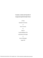 Formation, levitation and evaporation of unsupported liquid fuel droplet clusters