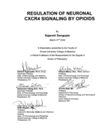Regulation of neuronal CXCR4 signaling by opioids