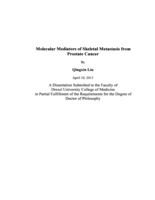 Molecular mediators of skeletal metastasis from prostate cancer