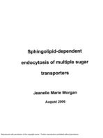 Sphingolipid-dependent endocytosis of multiple sugar transporters