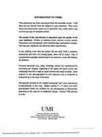 Strategy preferences in computer display navigation: possible implication for gender differences
