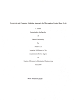Geometric and computer modeling approach for microsphere packed bone graft