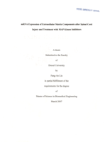 MRNA expression of extracellular matrix components after spinal cord injury and treatment with MAP kinase inhibitors