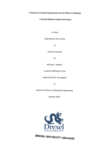 A system for postural experiments and its effects on behavior in the rat model of spinal cord injury