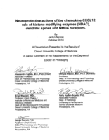 Neuroprotective actions of the chemokine CXCL12: role of histone modifying enzymes (HDAC), dendritic spines and NMDA receptors