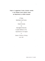 Origin of loggerhead turtles (Caretta caretta) in the western North Atlantic Ocean as determined by mtDNA analysis