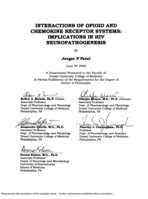 Interactions of opioid and chemokine receptor systems: implications in HIV neuropathogenesis