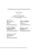 The mitochondrion in the life and death of Plasmodium falciparum