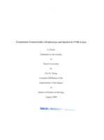 Examination of natural killer cell phenotype and function in C57BL/6 mice
