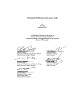 Glutamine utilization in cancer cells