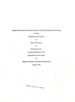 Image enhancement and tumor detection using split spectrum processing