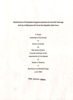 Identification of phosphate oxygens important for the self cleavage activity of ribozyme G73 from the hepatitis delta virus