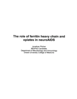The role of ferritin heavy chain and opiates in neuroAIDS