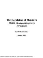 The regulation of meiotic S phase in Saccharomyces cerevisiae