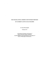 Post-translational modification of brain proteins with O-linked N-acetyl-D-glucosamine