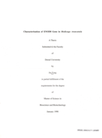 Characterization of ENOD8 gene in Medicago truncatula