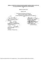 MDMA (3,4-methylenedioxymethamphetamine) modulation of tactile sensory information processing