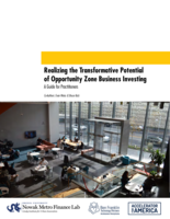 Realizing the Transformative Potential of Opportunity Zone Business Investing: A Guide for Practitioners