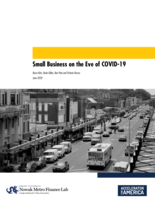 Small Business on the Eve of COVID-19