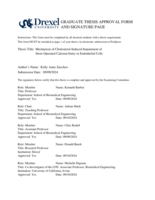 Mechanism of Cholesterol-Induced Impairment of Store-Operated Calcium Entry in Endothelial Cells