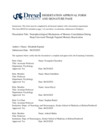 Neurophysiological mechanisms of memory consolidation during sleep uncovered through targeted memory reactivation