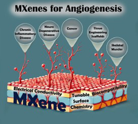 MXene-based platforms for angiogenesis and vascular regeneration