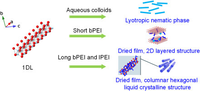 On the structure of one-dimensional lepidocrocite titanate-polyethyleneimine hybrids